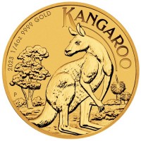 25 Dollar Australien - Känguru 1/4 oz Goldmünze (2023)