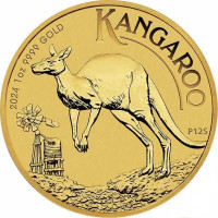 25 Dollar Australien - Känguru 1/4 oz Goldmünze (2024)