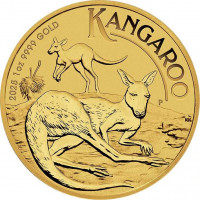 100 Dollar Australien - Känguru 1 oz Goldmünze (2025)